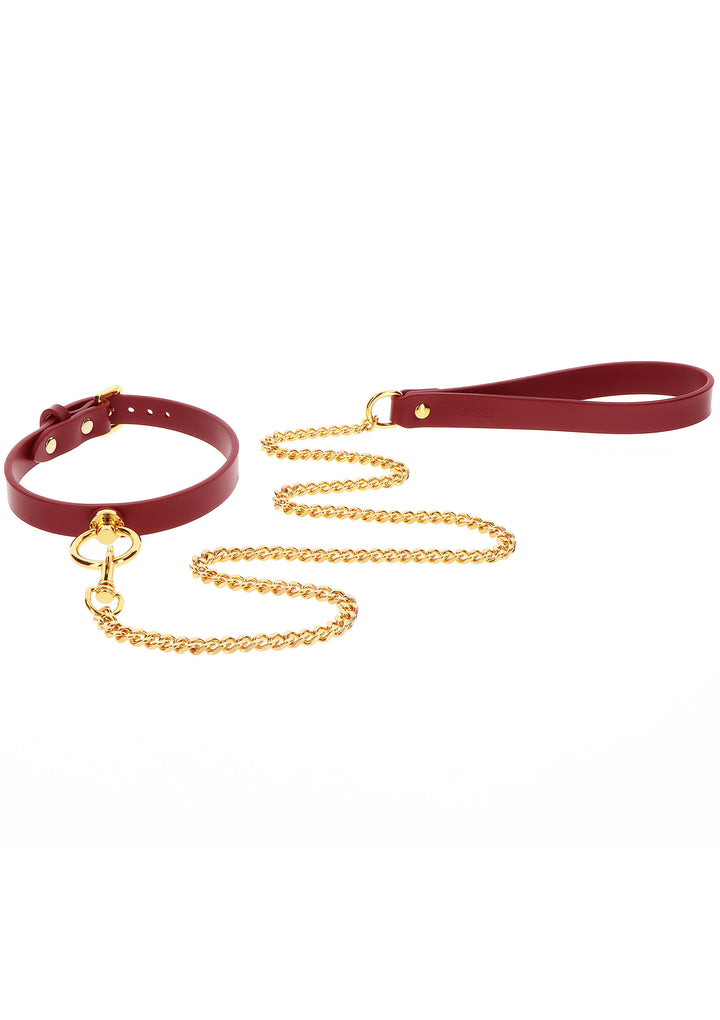 Collare con guinzaglio O-Ring Collar and Chain Leash