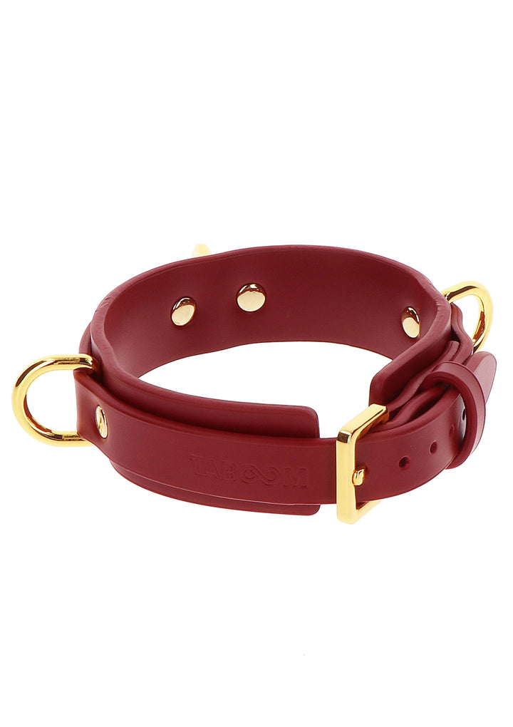 Collare con guinzaglio O-Ring Collar and Chain Leash