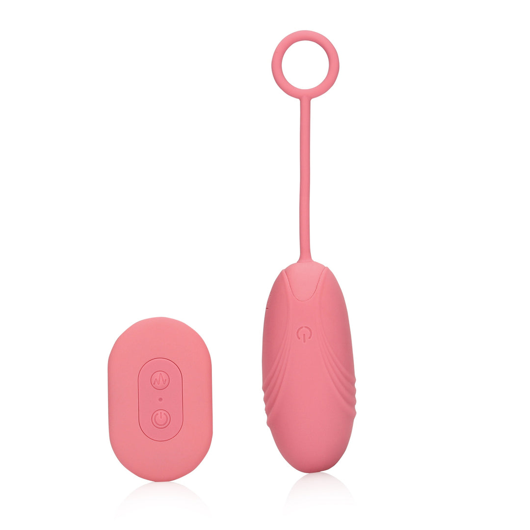 Egg Vibrator RC