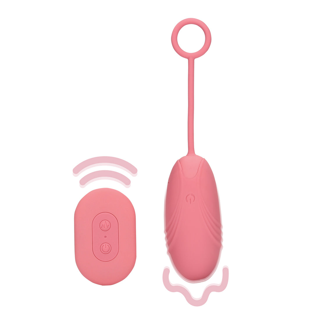 Egg Vibrator RC