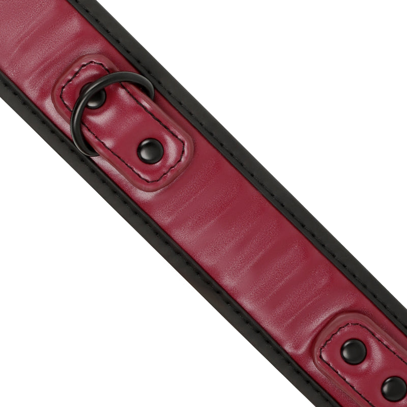 Collare con catena regolabile in pelle e fodera in neoprene fetish dark room