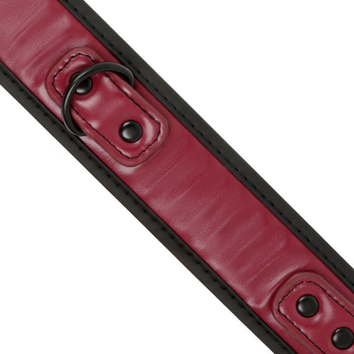 Collare con catena regolabile in pelle e fodera in neoprene fetish dark room