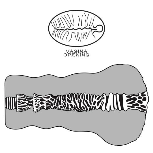 Vagina Artificiale Aliens Pie