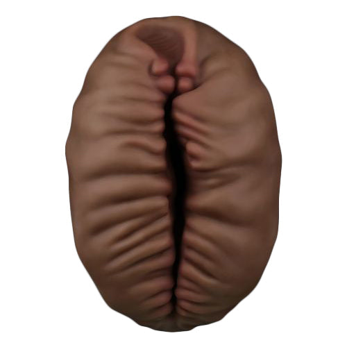 Vagina Artificiale Aliens Pie