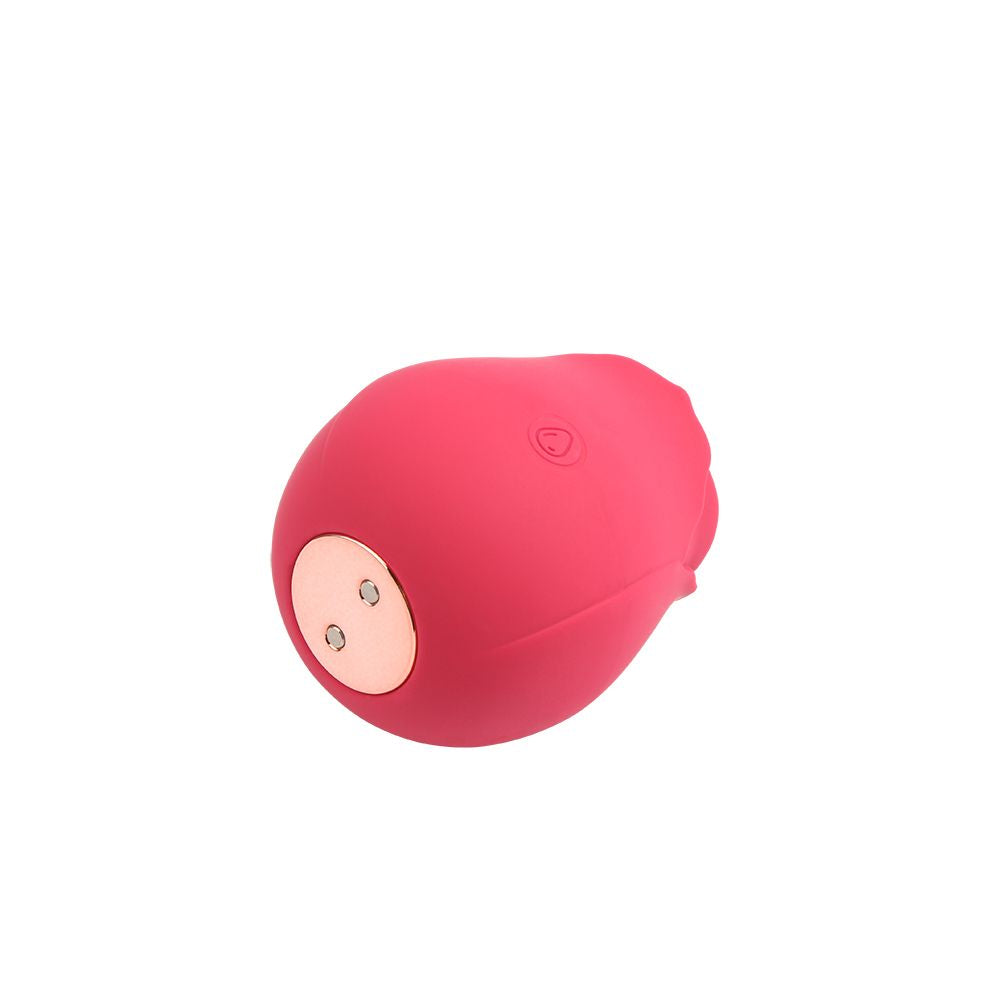 Succhia Clitoride Rosy