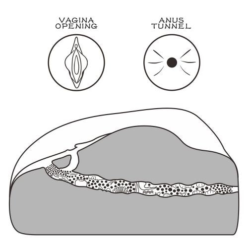 Vagina Artificiale Streetgirl One