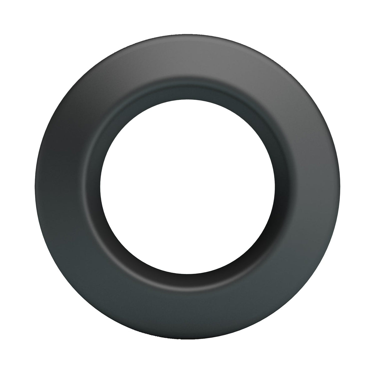 Anello Fallico Brodan
