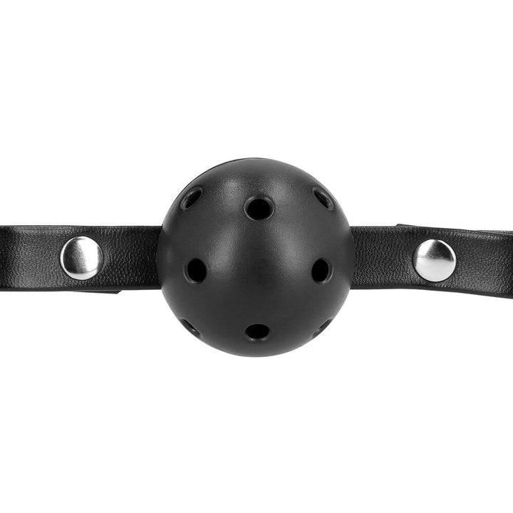 Ball Gag Muzzle