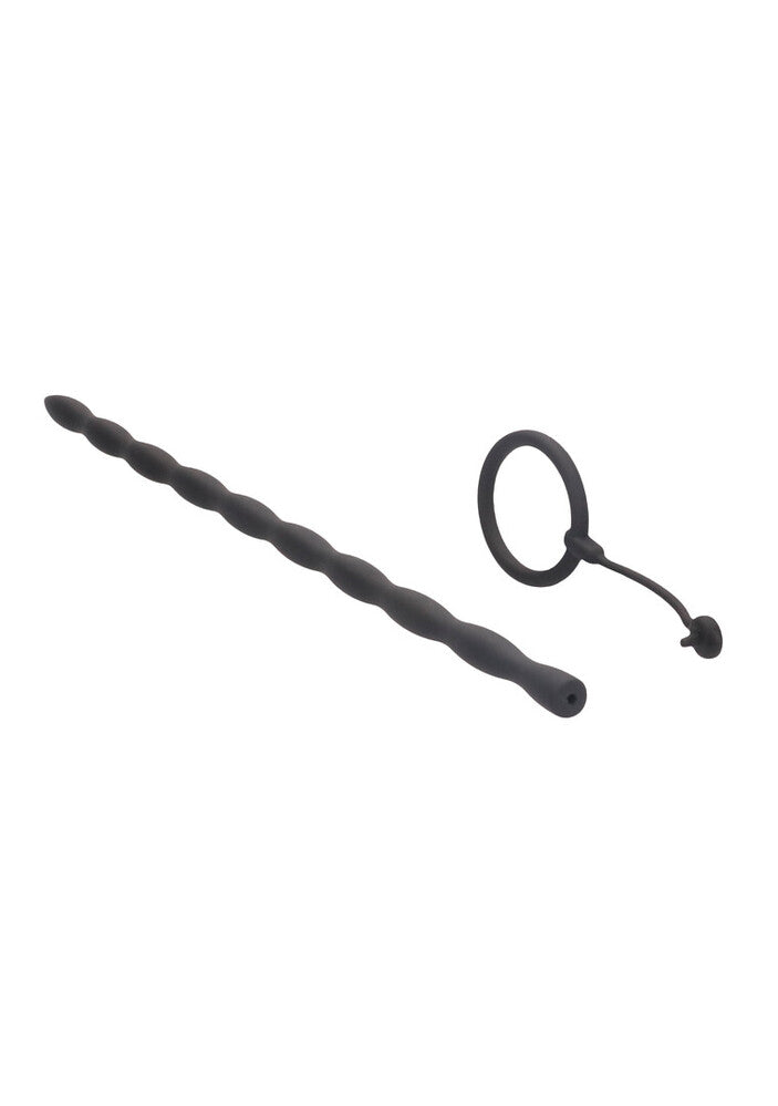 Phallischer Ring und Harnröhrenplug-Set