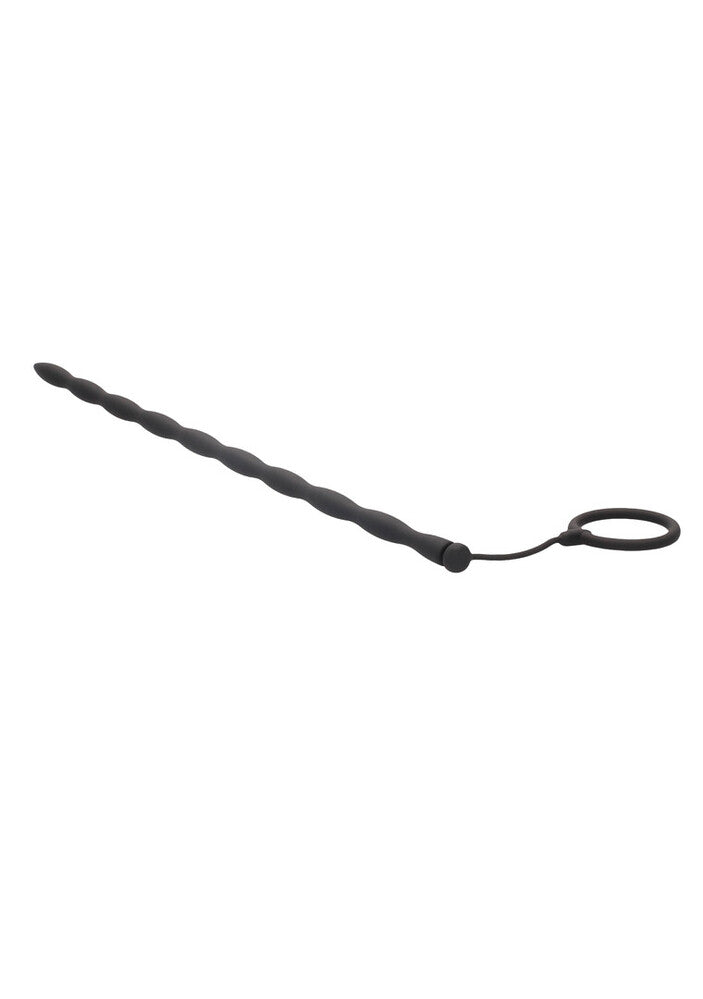 Phallischer Ring und Harnröhrenplug-Set
