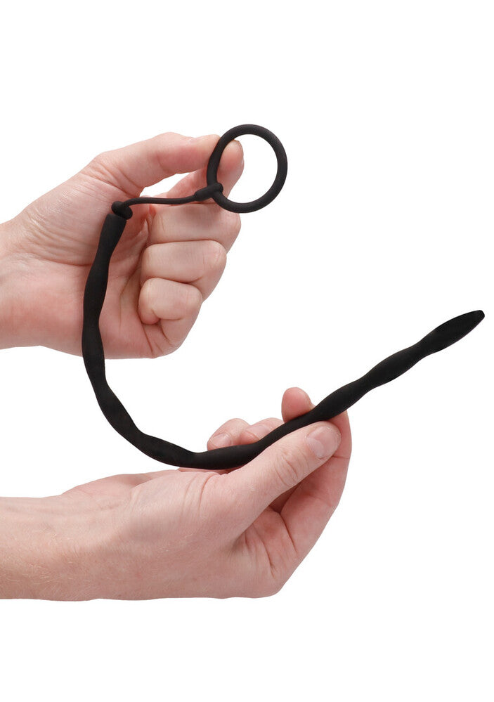 Phallischer Ring und Harnröhrenplug-Set