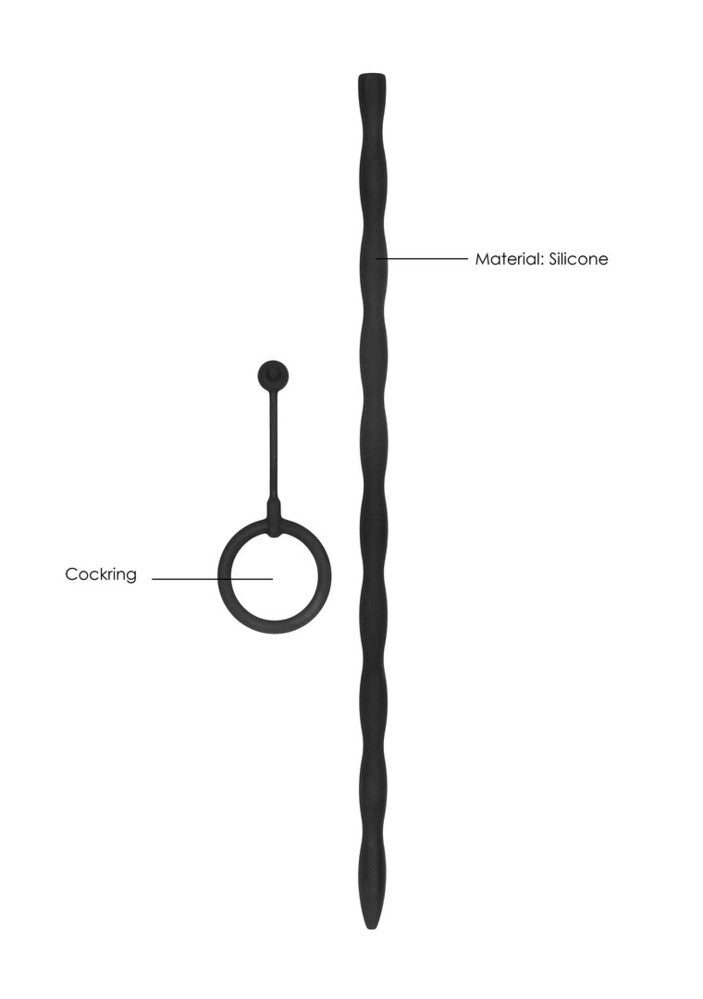 Phallischer Ring und Harnröhrenplug-Set