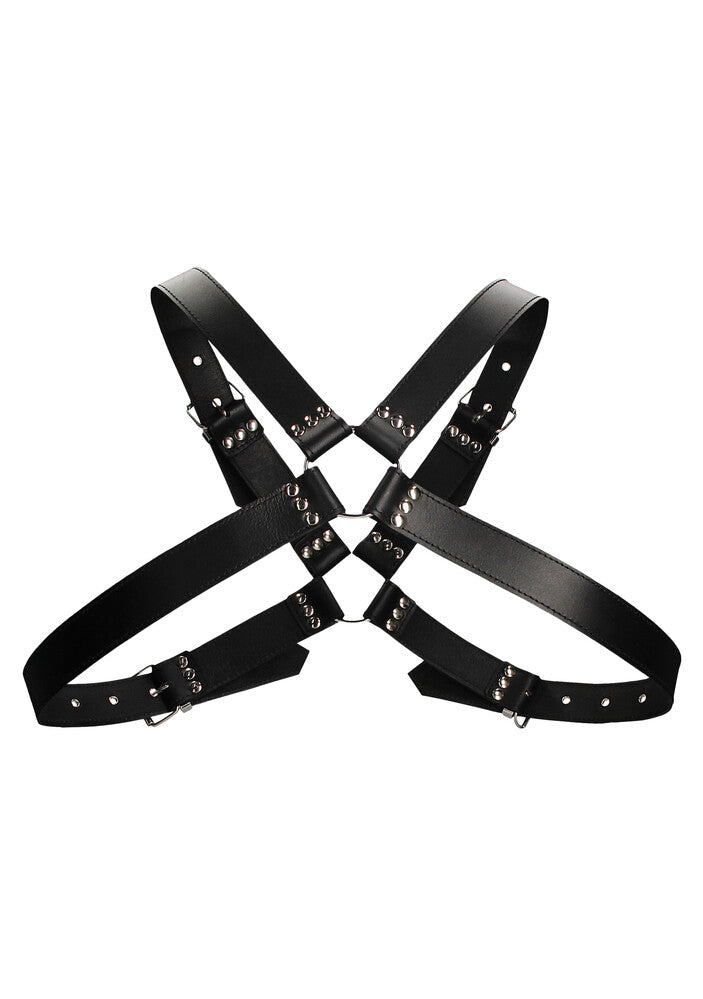 Harness Uomo Large Buckle
