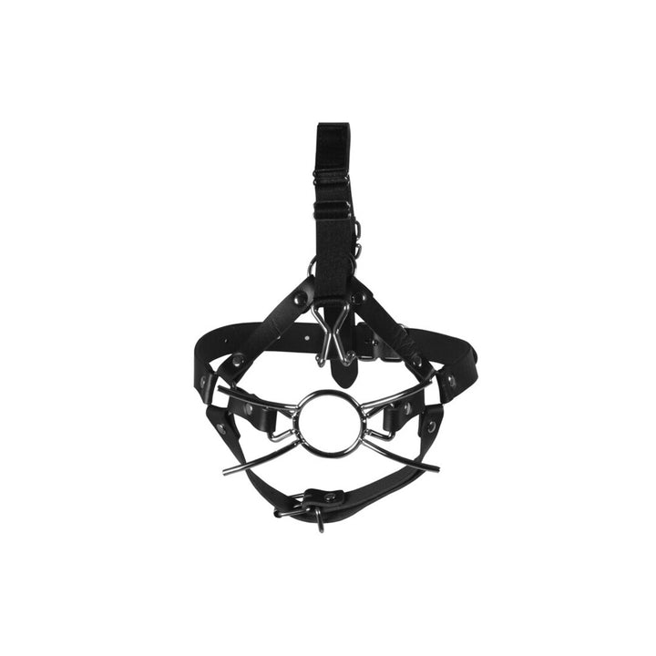 Spider Bondage Gag