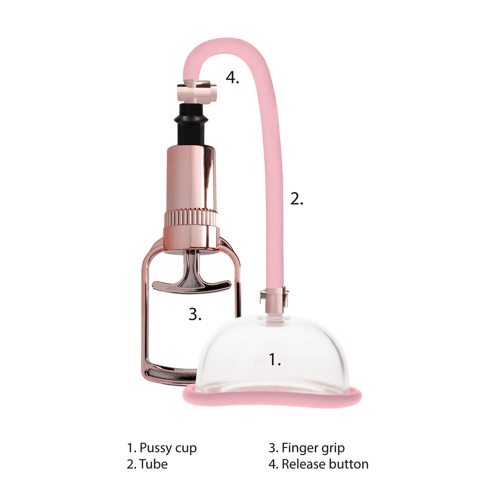Succhia Clitoride Vagina Pumped