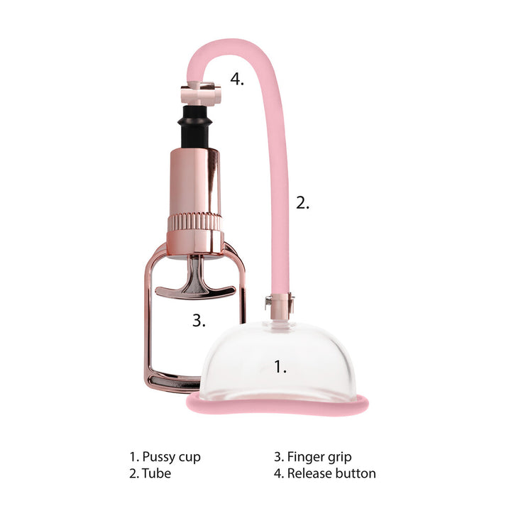 Succhia Clitoride Vagina Pumped