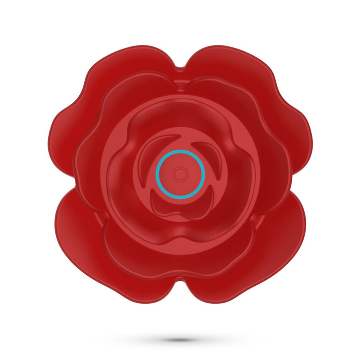 Vibratore Anale Rosaline