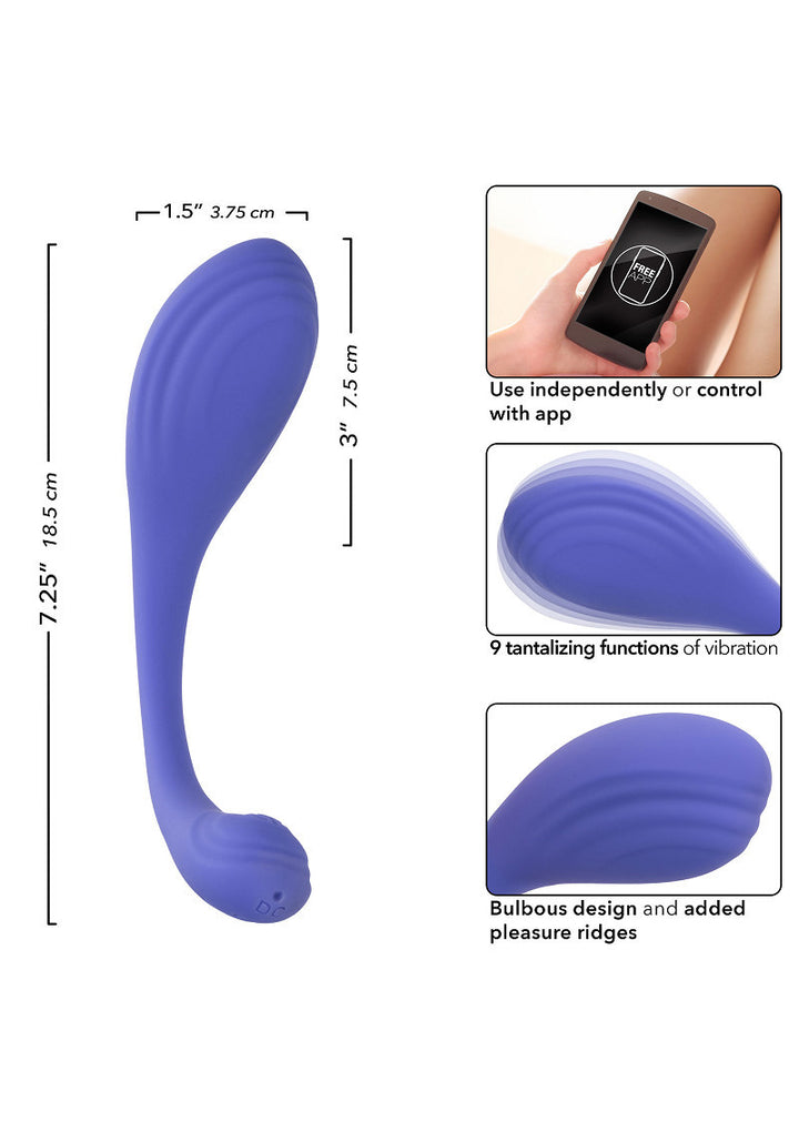 CalExotics Connect Kegel Exerciser