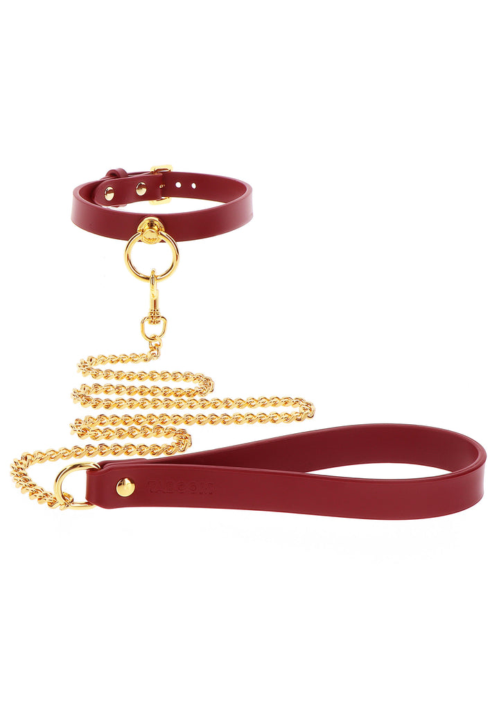 Collar with leash O-Ring Collar and Chain Leash