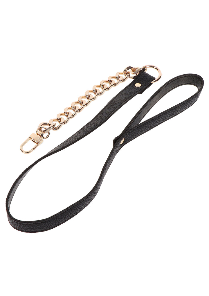 Statement collar and leash