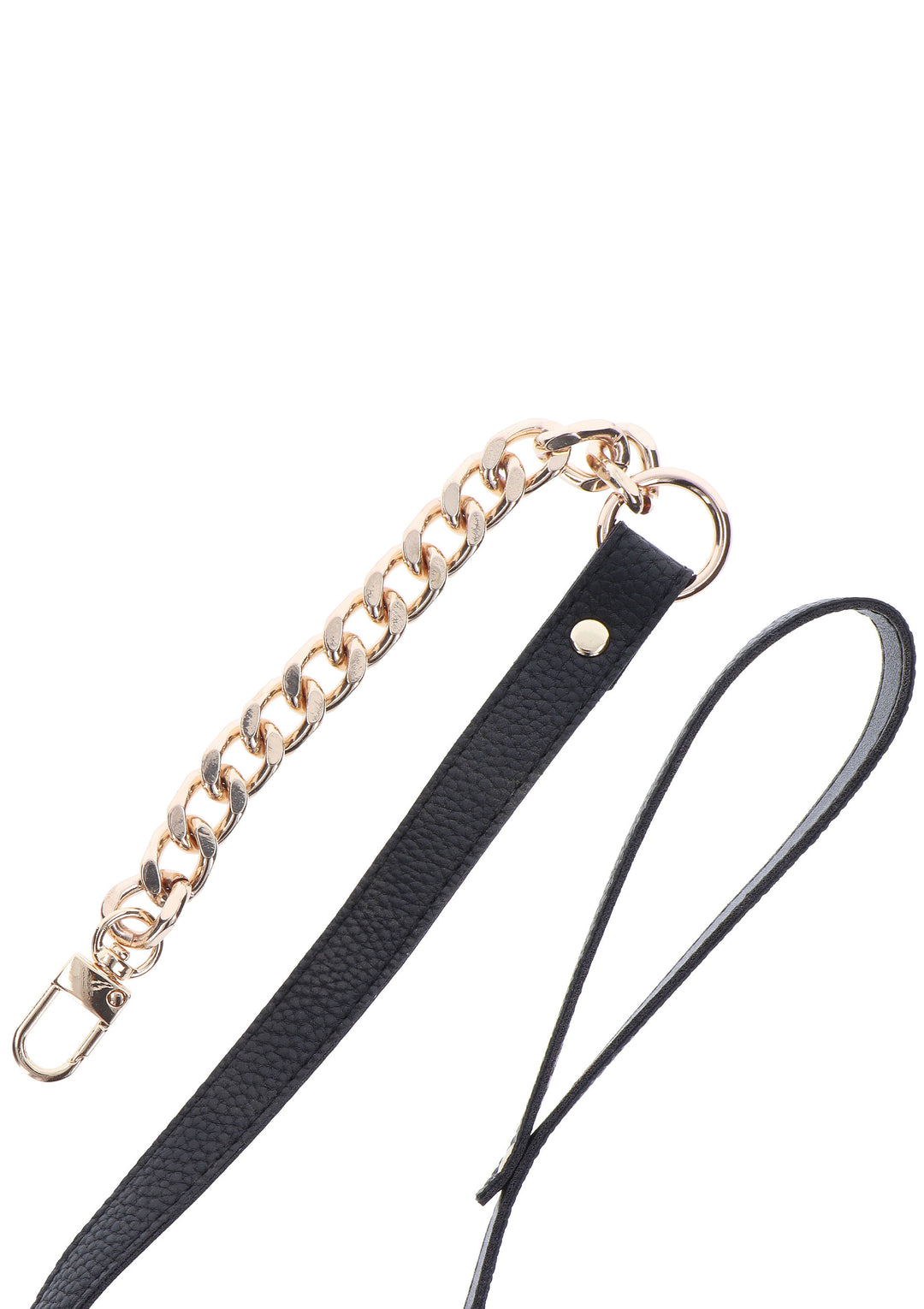 Statement collar and leash