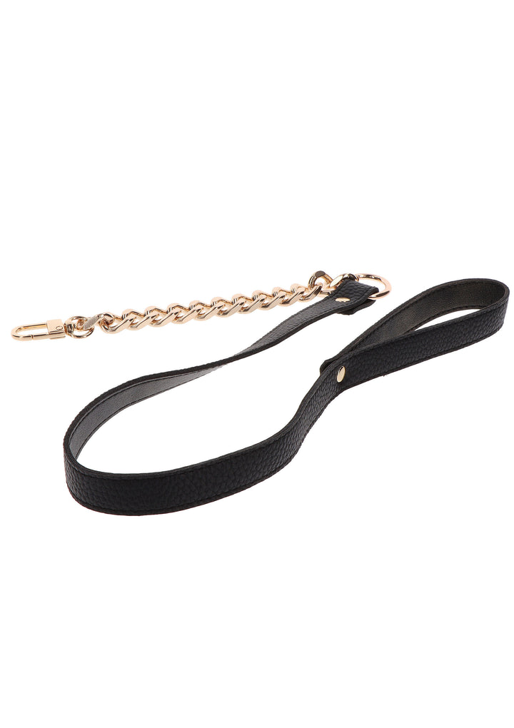 Statement collar and leash