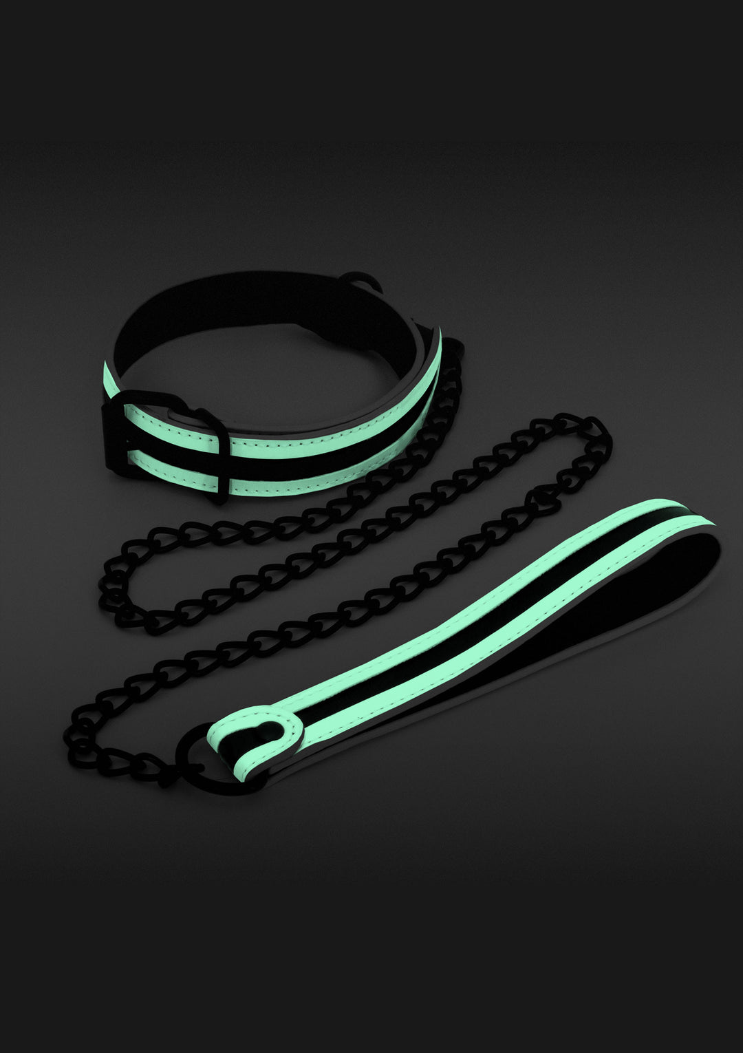 Glo Collar And Leash