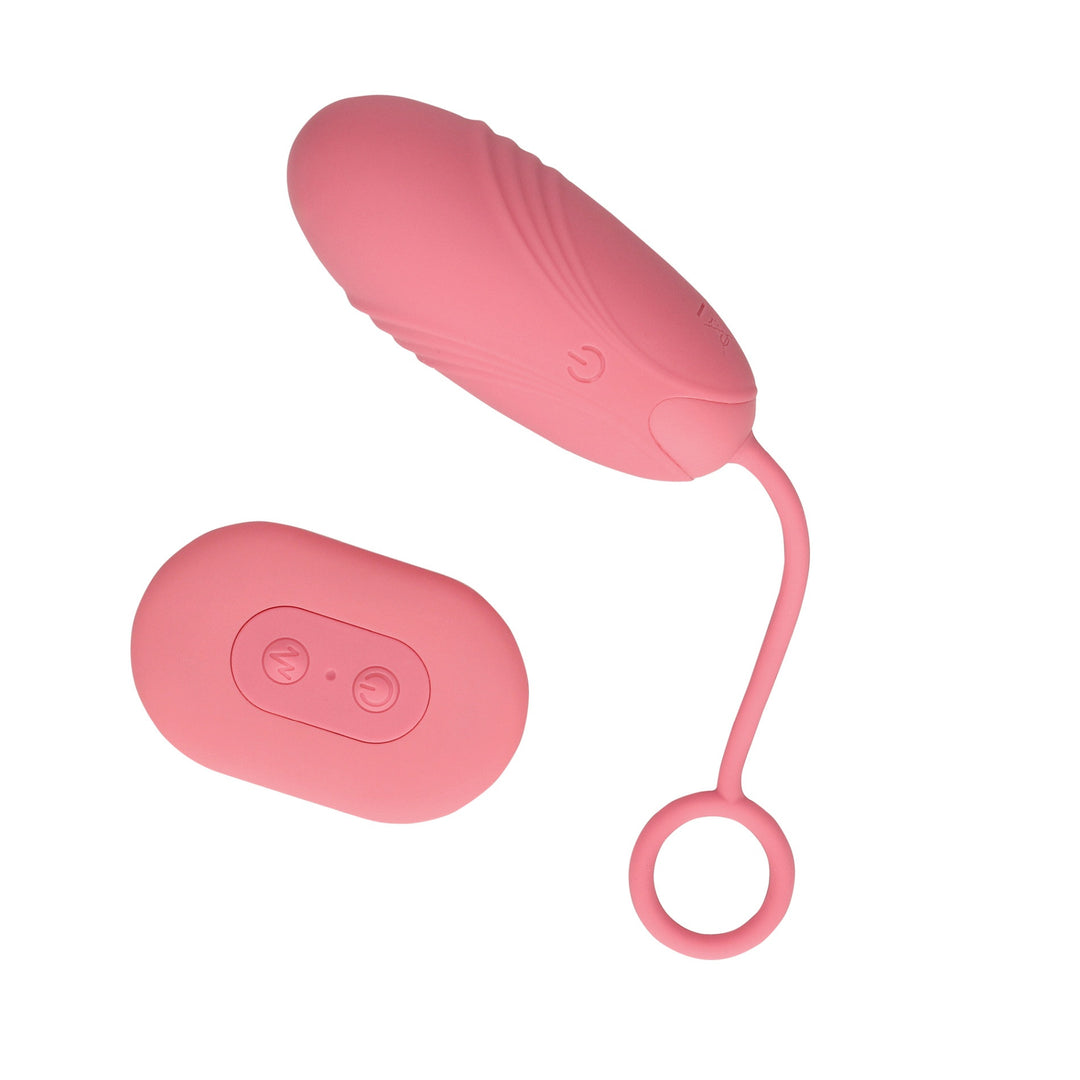 Egg Vibrator RC