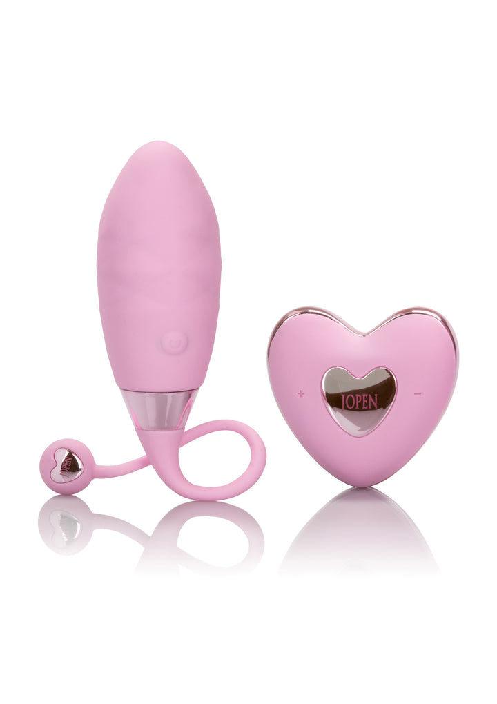 Amour Remote Bullet rechargeable vibrating vaginal egg