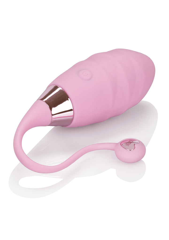 Amour Remote Bullet rechargeable vibrating vaginal egg