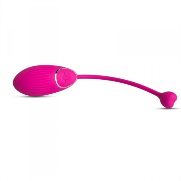 Vaginal stimulator clitoral vibrator intimate massager egg