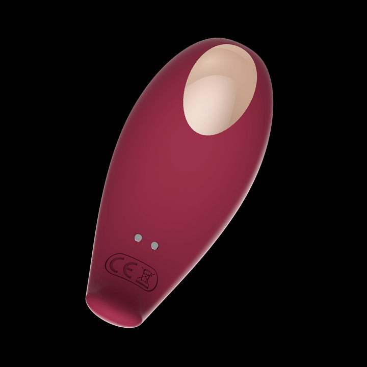 Suck clitoris with Inspiration vibrating egg